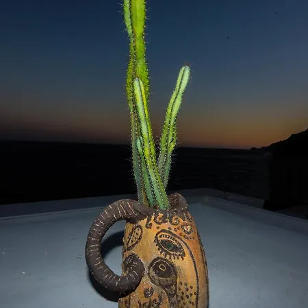 Vendégház Pietra Santa 4*